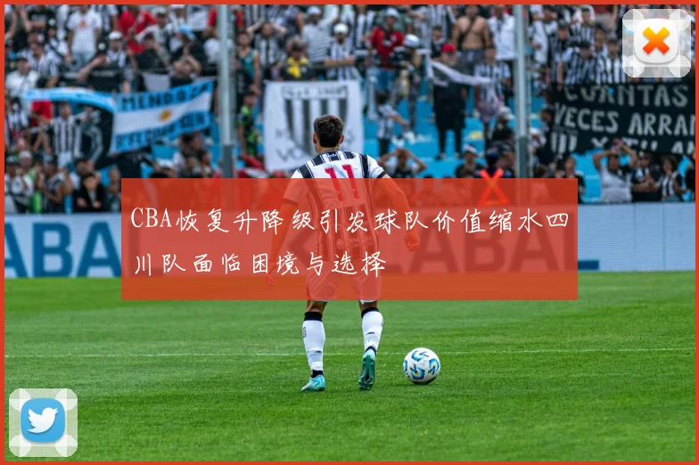 CBA恢复升降级引发球队价值缩水四川队面临困境与选择